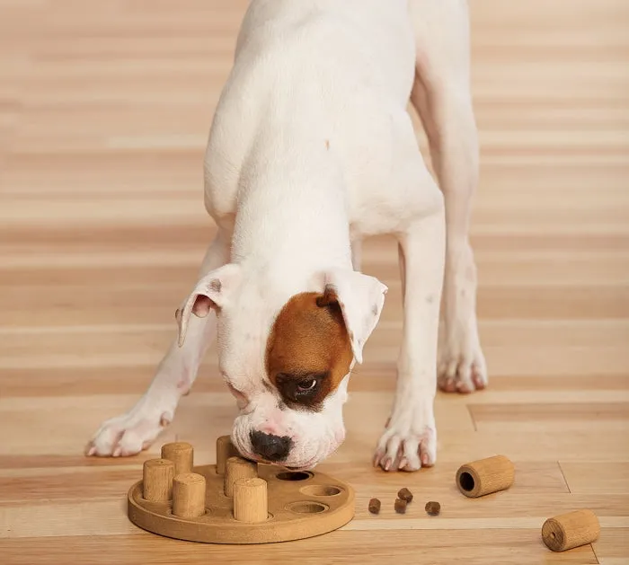 Dog Smart Puzzle