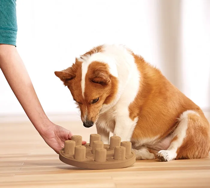 Dog Smart Puzzle