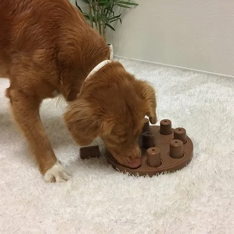 Dog Smart Puzzle