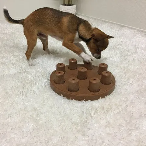 Dog Smart Puzzle