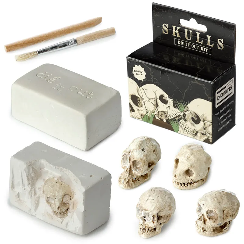 Fun Excavation Dig it Out Kit - Human Skull DIG52