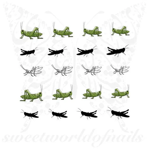 Grasshopper Nail Art Nail water Decals