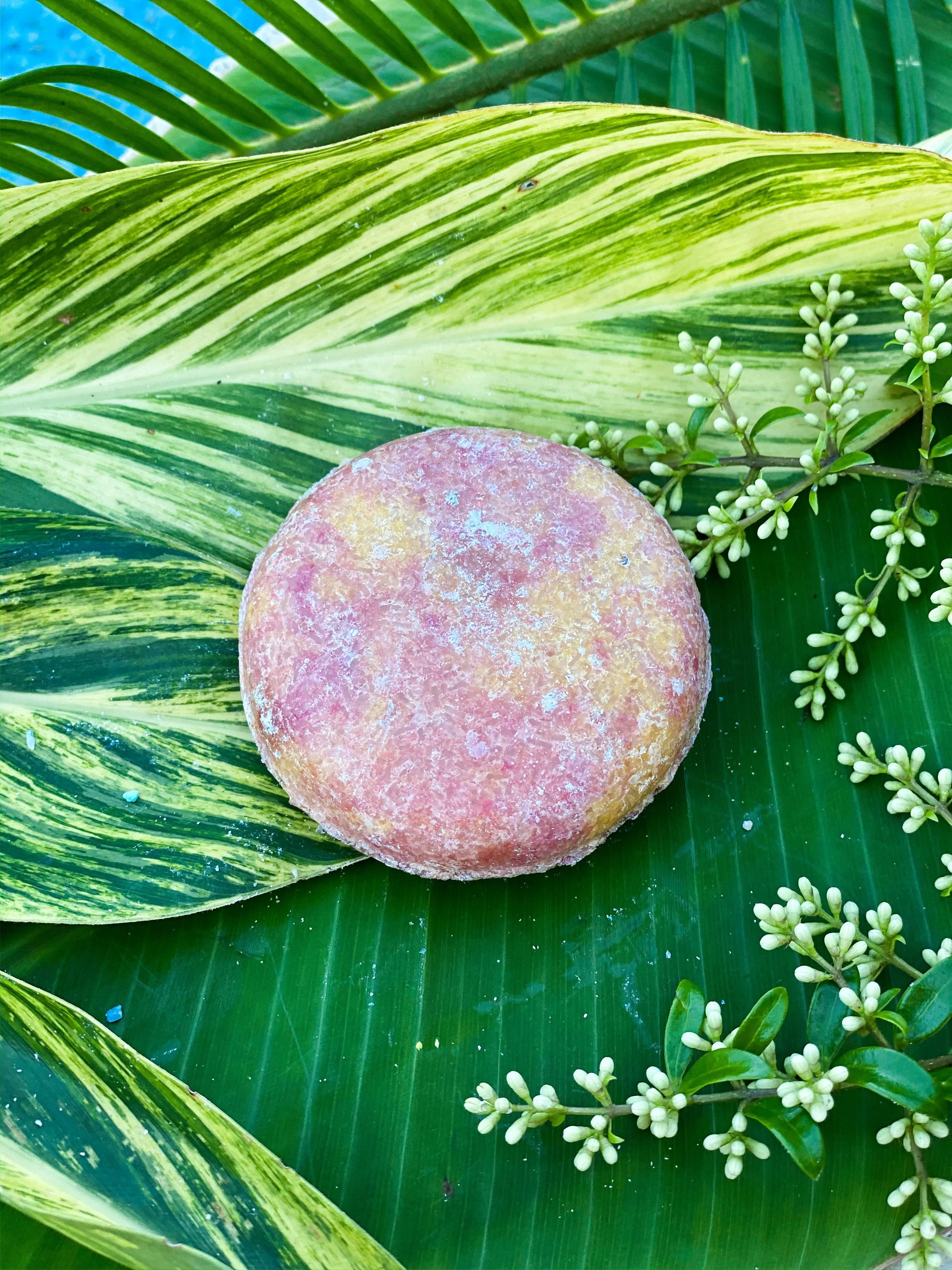 Island Pink Shampoo & Conditioner Bars - On Hand