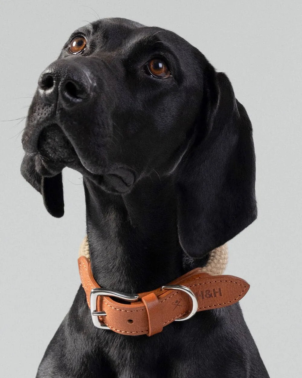 Natural Round Rope Dog Collar with Cognac Leather