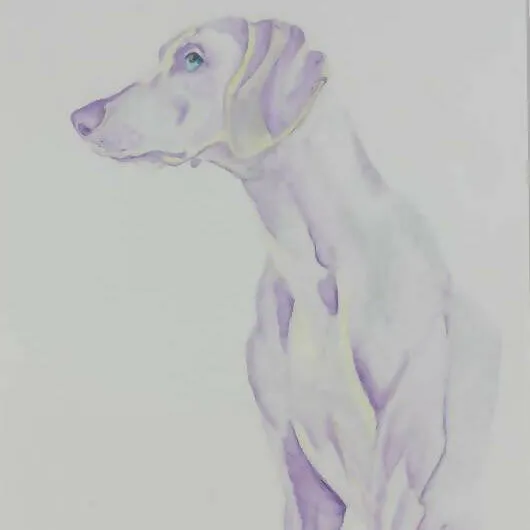 Oakes Art - Purple Reign Dog Portrait