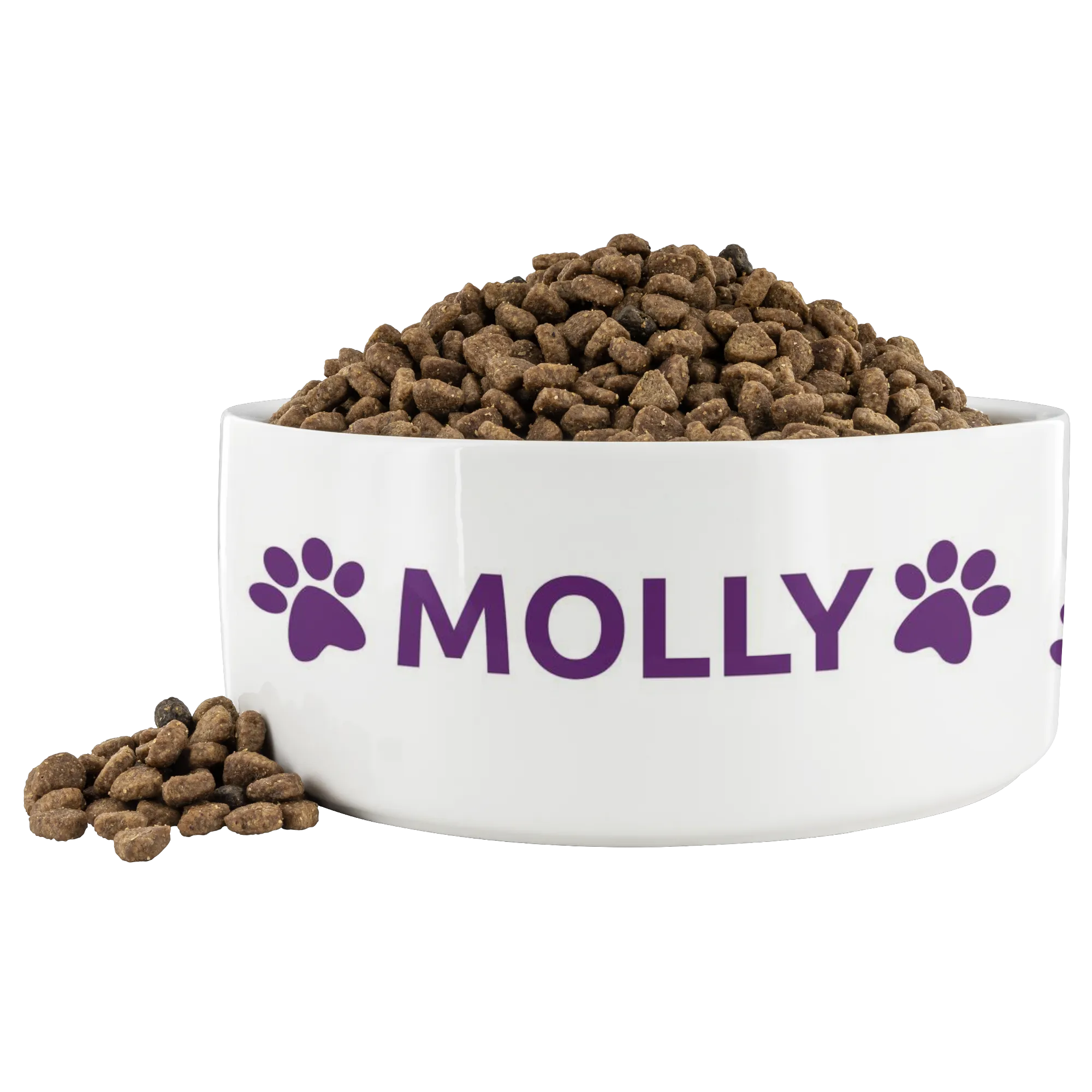 Personalized Ceramic Dog Bowl Paw Name