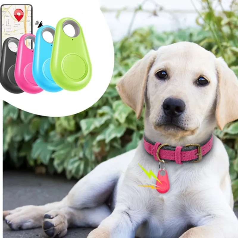 Smart Gps Pet Locator Anti-lost Alarm Tag Wireless Dog Collar Locator